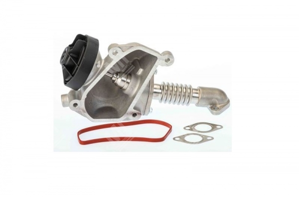Egr Valfi 611 Spr/Vito Cdı. - Mercedes Sprinter,Vito - 6110900954, 6110900354
