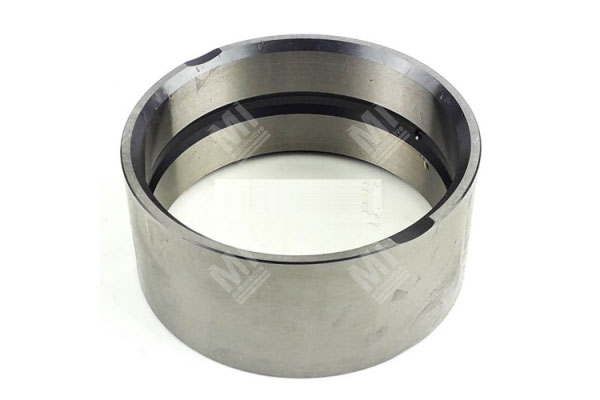Bearing Race - Zf  - 1315304132, 1313304036