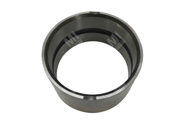 Bearing Race - Zf  - 1316304133, 1312304082