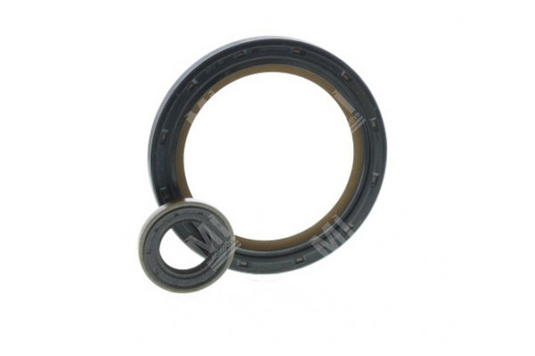Clutch Seal Kit -   - 19135306