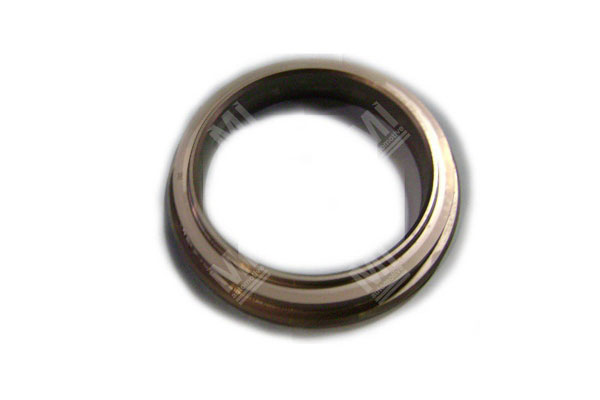 Cutting Ring Dn165 - Schwing  - 10063938