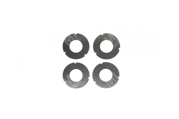 Disc - Zf  - 1314303077