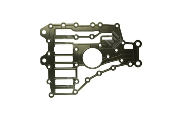 Gasket - Zf  - 0501314434, 0501313643