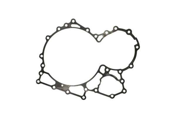 Gasket Retarder - Zf  - 0501313511, 0501315048
