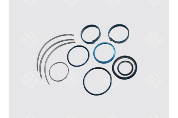 Main Cylinder Repair Kit (Double Action) - Reich  - 921299, 921300