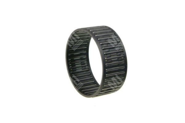 Needle Bearing - Zf  - 0750115324