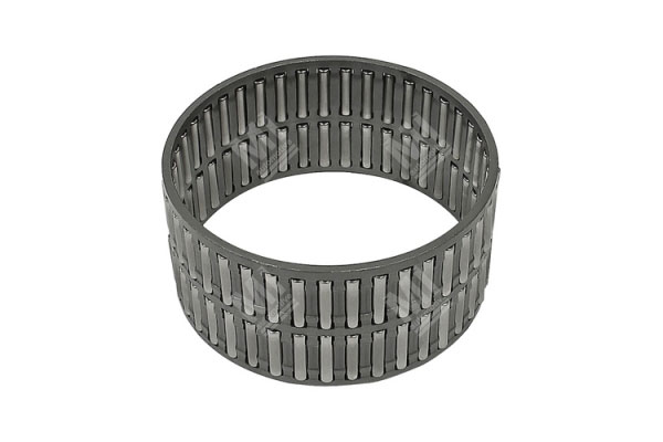 Needle Cage - Mercedes Atego - 0189815810, 0189819610, 0239813810