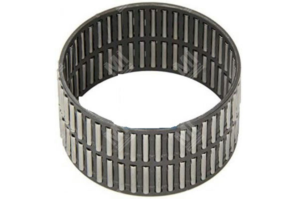 Needle Cage - Zf  - 0750115325