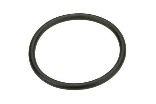 O-ring - Volvo  - 7400975697, 975697