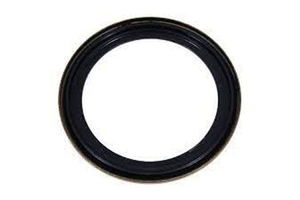 Oil Seal - Zf  - 0501314108