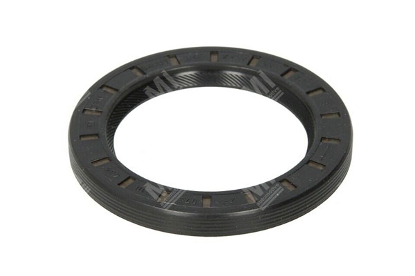 Pirizdirek Kapak Keçesi - Zf  - 0734310435