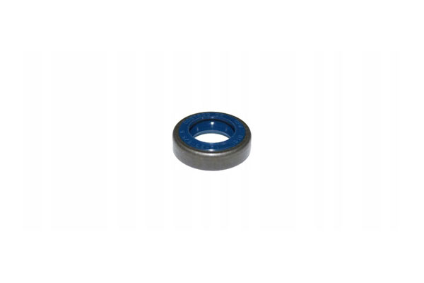 Oil Seal -   - 12001375