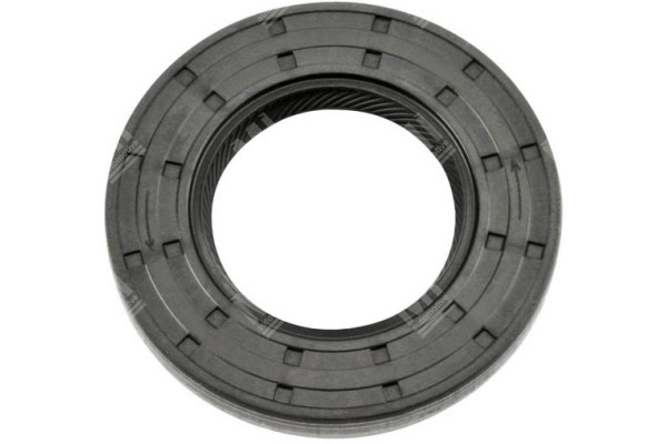 Yağ Keçesi -   - 12017218