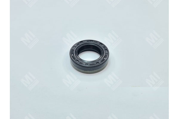 Oil Seal -   - 12019583