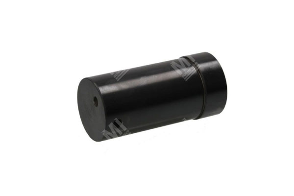 Pin - Zf  - 1316332096, 1316332038