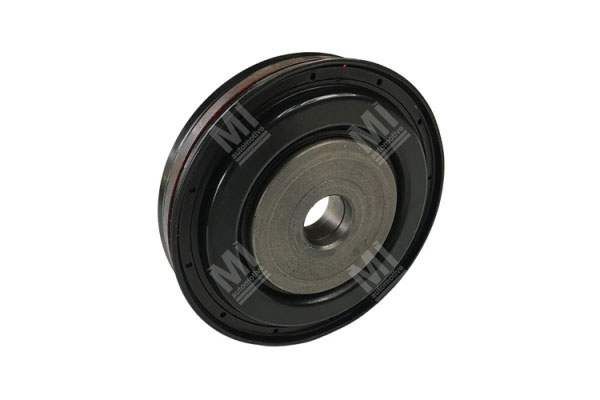 Piston - Zf  - 1315334034, 1315334063