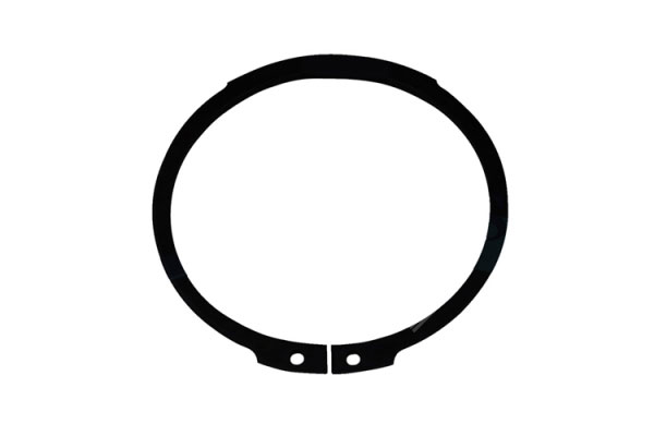 Retaining Ring - Zf  - 0630501061