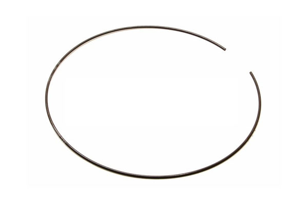 Ring - Zf  - 0730513583