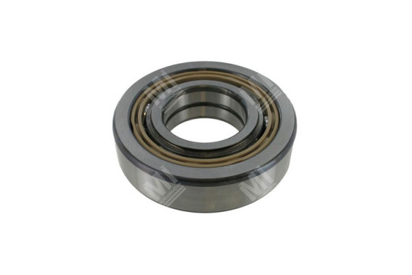 Roller Bearing - Scania  - 1766998, 1737384