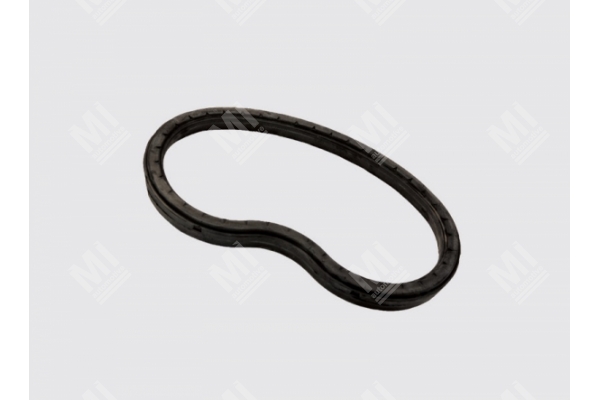 Seal - Schwing  - 705422301052