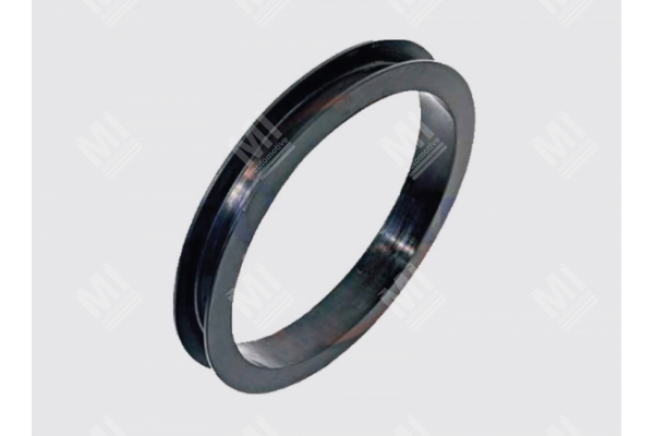 Seal (Reservoir) - Reich  - 411156