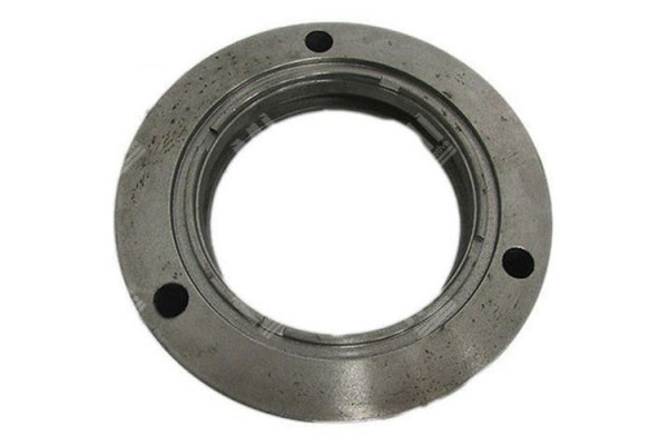 Sealing Cover for Schwing  - 10018035 - 370.055778