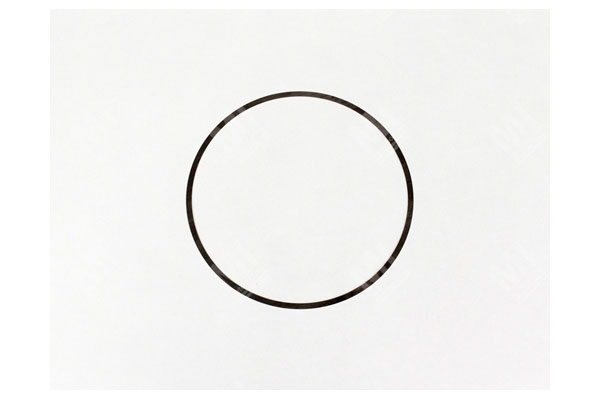 Shim - Mercedes  - 3892623552