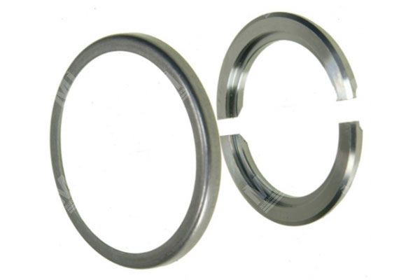 Split Ring Kit - Zf  - 1499298024