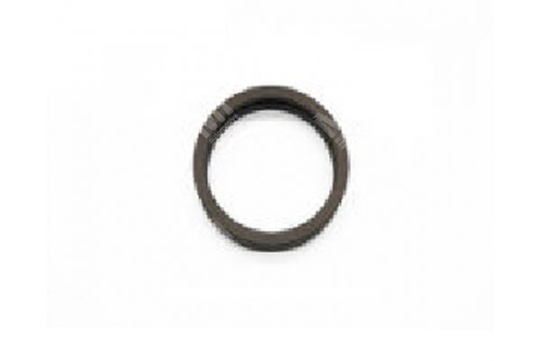 Transmission Valve Hose Spring Ring - Man  - 81908200590