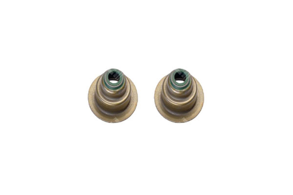 Valve Seal -   - 12020178